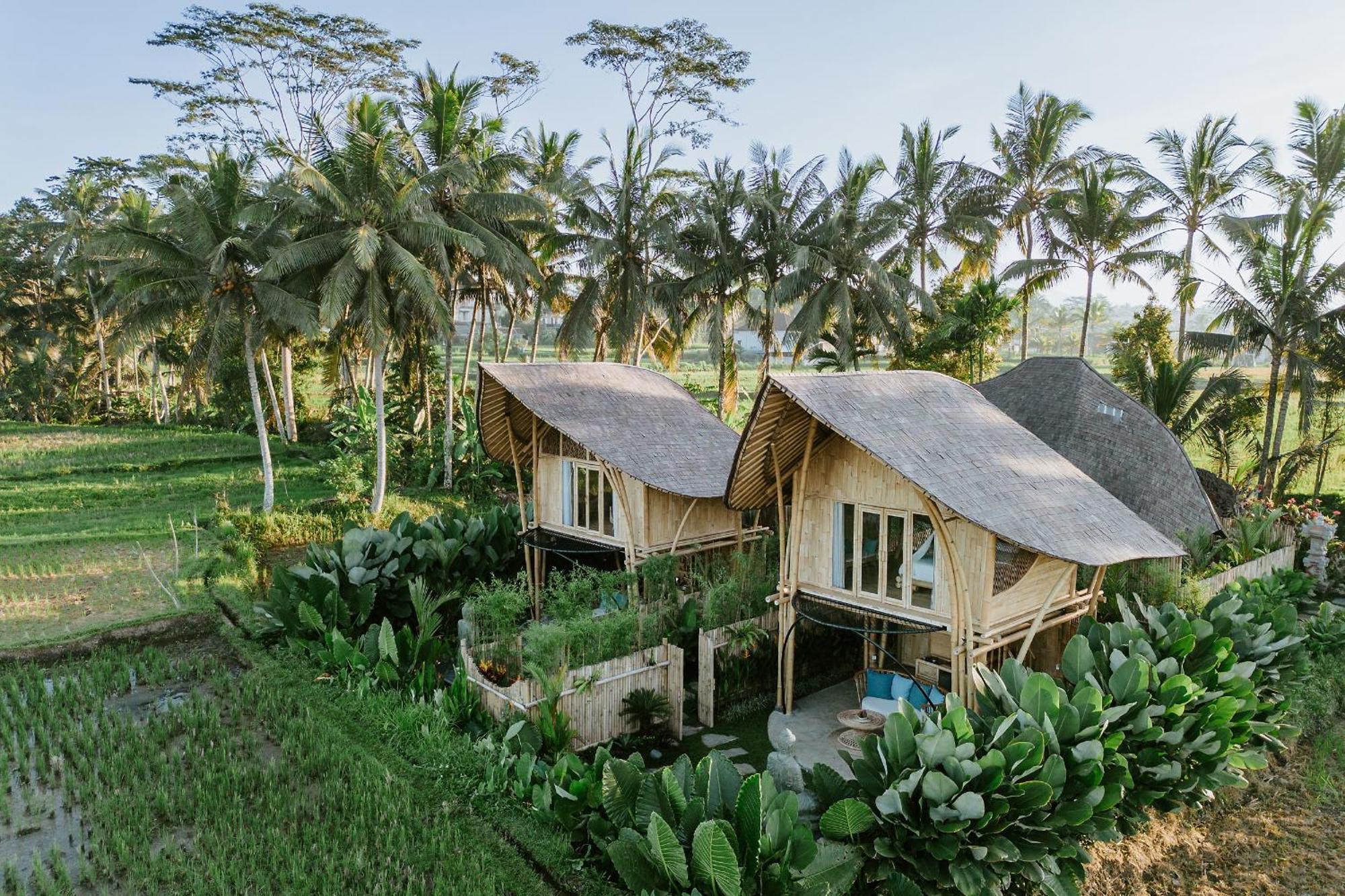 Puca Gavi Eco Luxury Villa Ubud Managed By Manara Exteriör bild